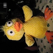 Picture 041